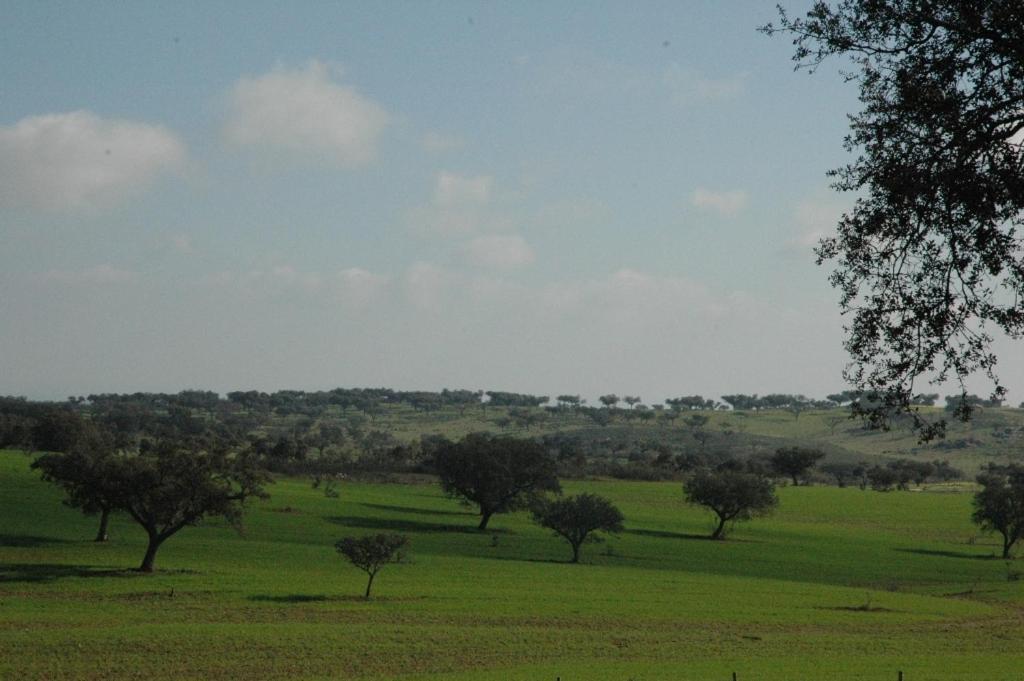 Herdade Do Monte Outeiro - Turismo Rural Venda  Exteriör bild