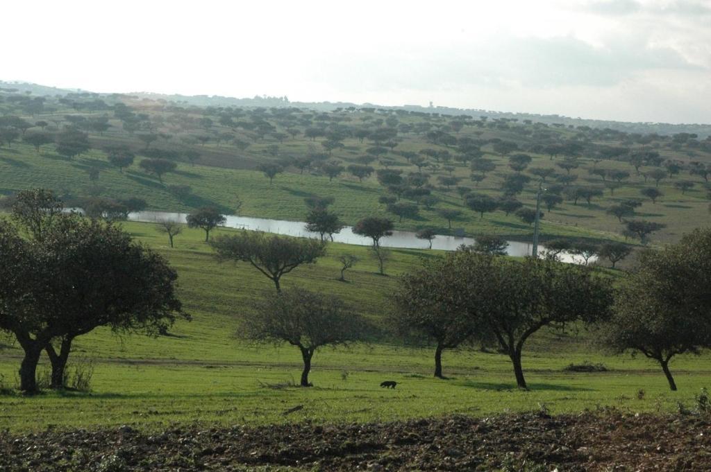 Herdade Do Monte Outeiro - Turismo Rural Venda  Exteriör bild